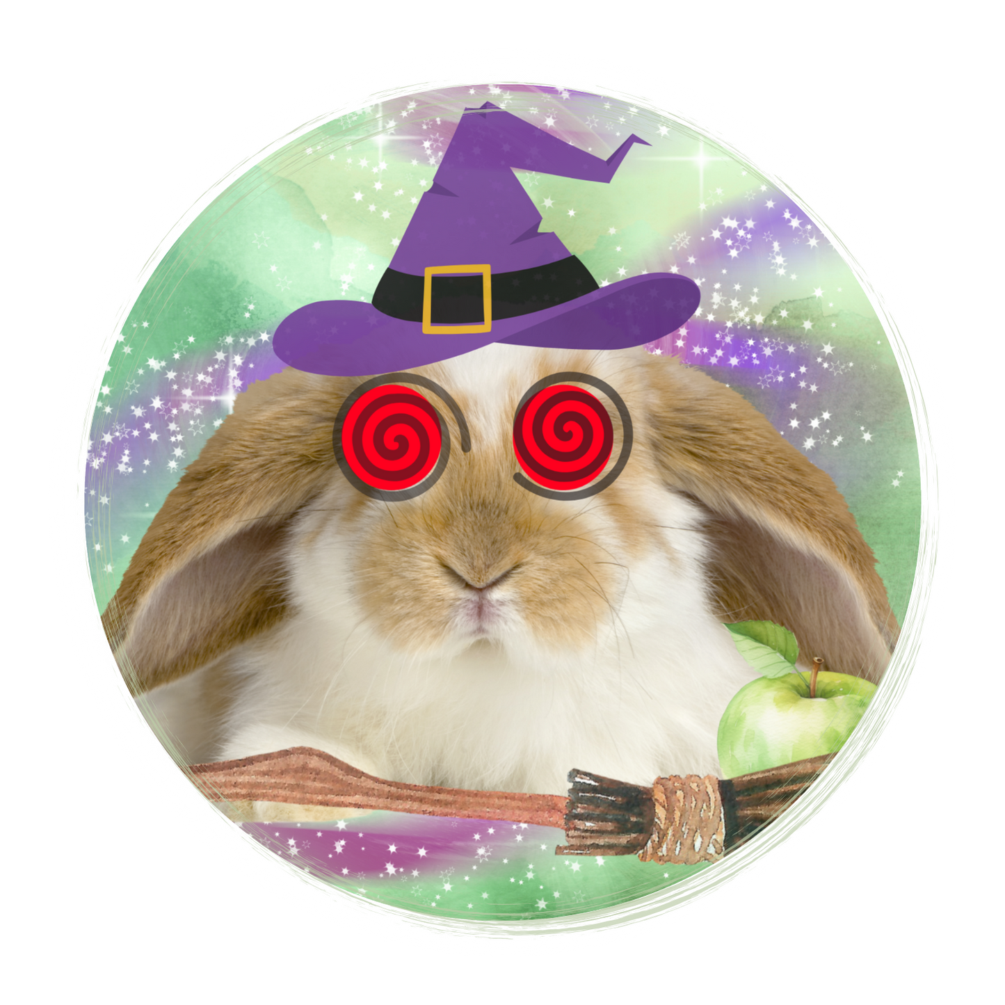 Bewitched Rabbit