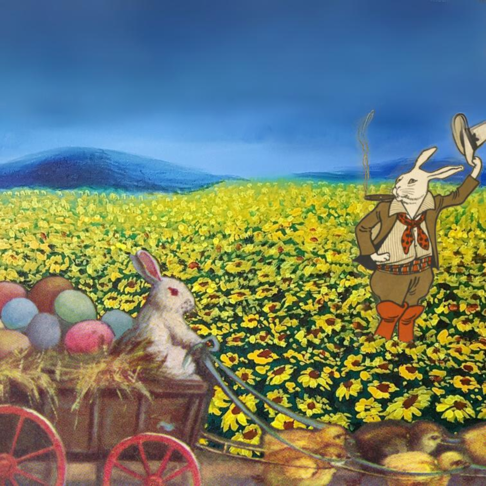 The Velveteen Stranger