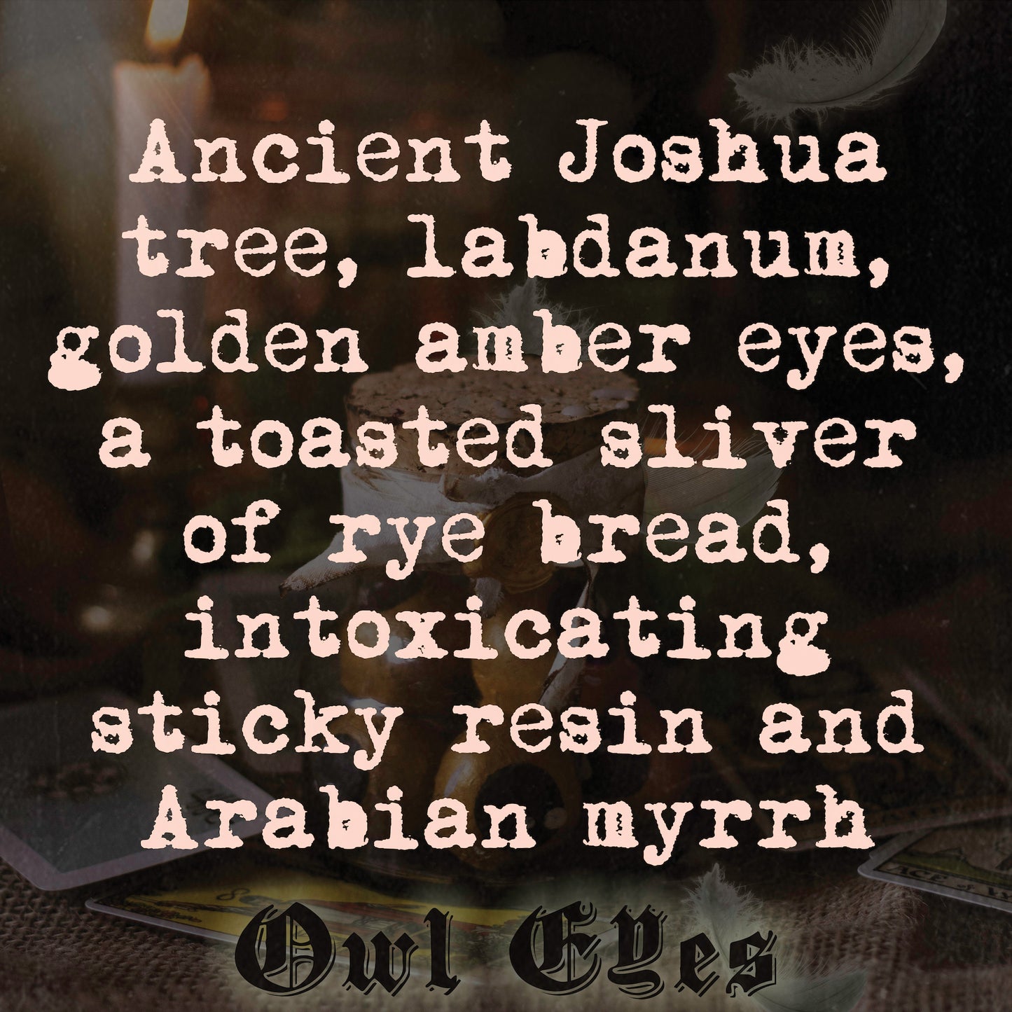 Owl Eyes - Stereoplasm