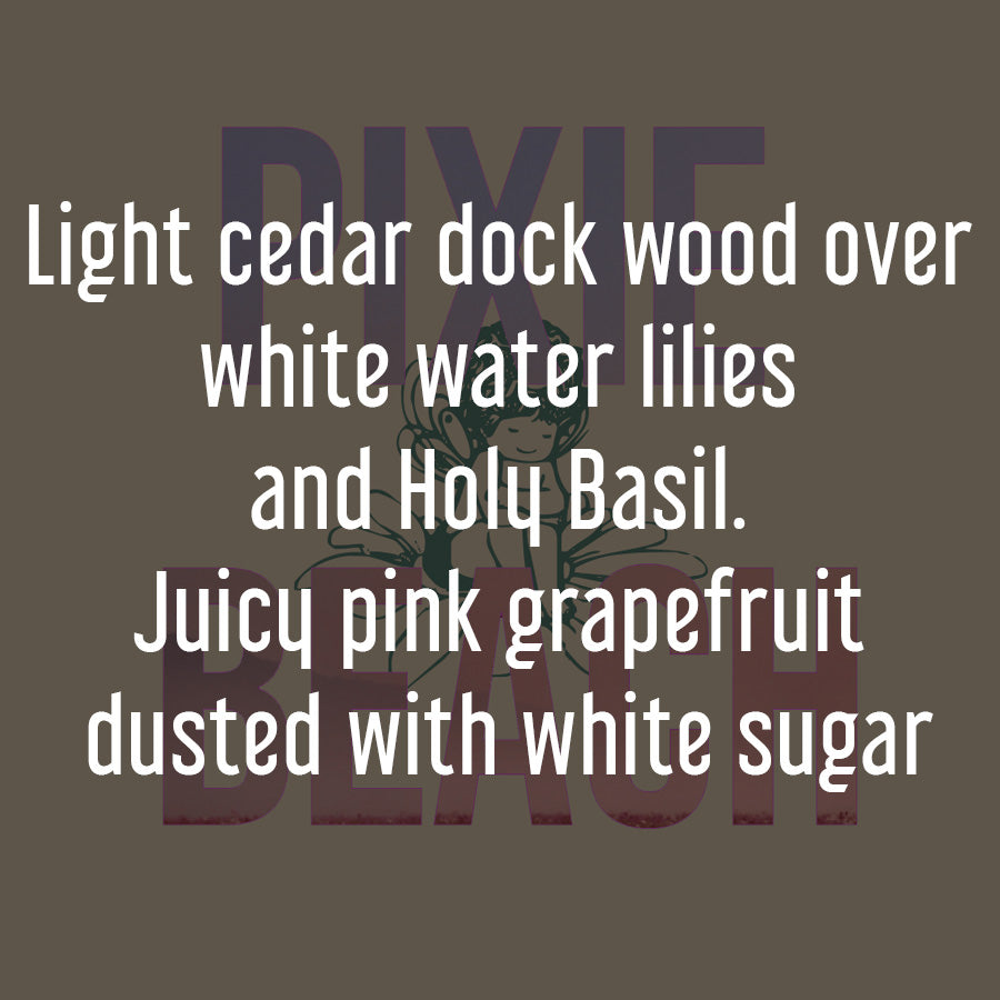 Pixie Beach - Stereoplasm