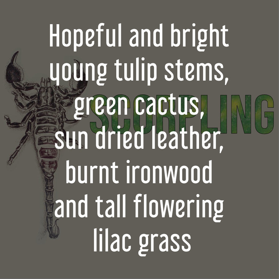 Scorpling - Stereoplasm