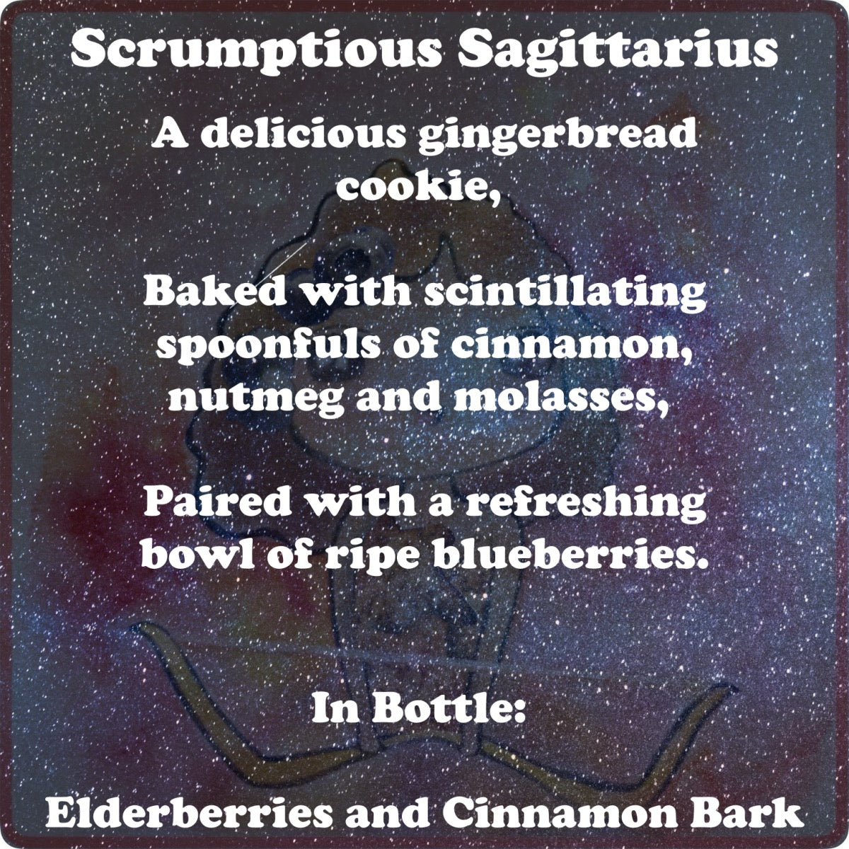 Scrumptious Sagittarius - Stereoplasm