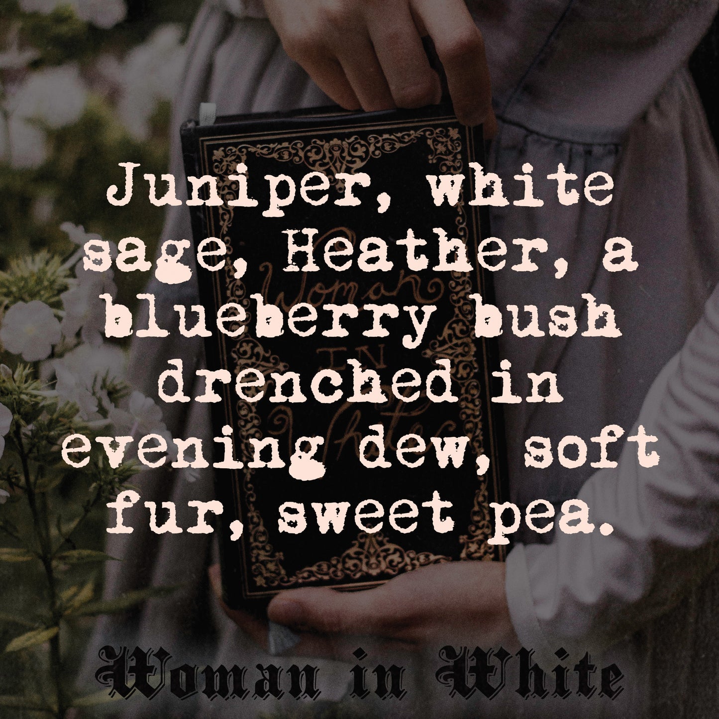 Woman in White - Stereoplasm