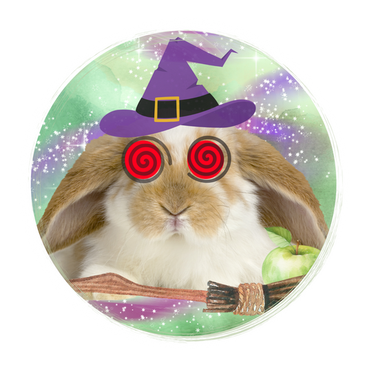Bewitched Rabbit