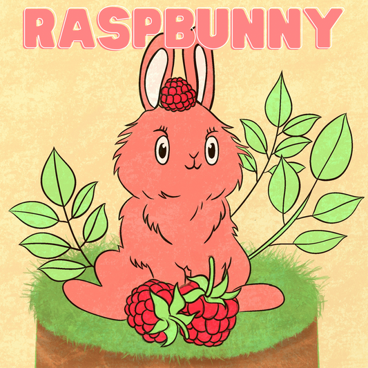 Raspbunny - Stereoplasm